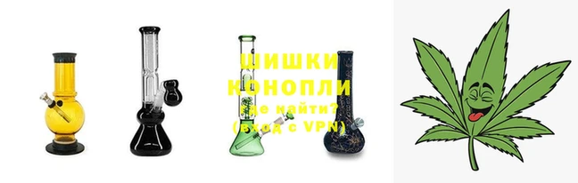 гашик Волосово