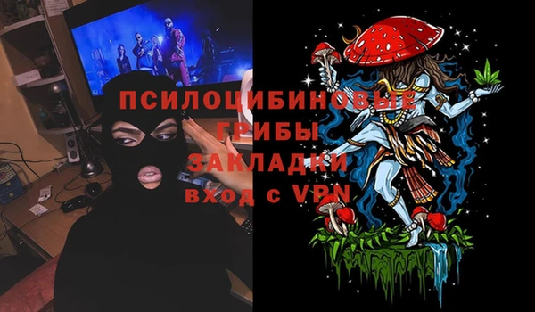 гашик Волосово